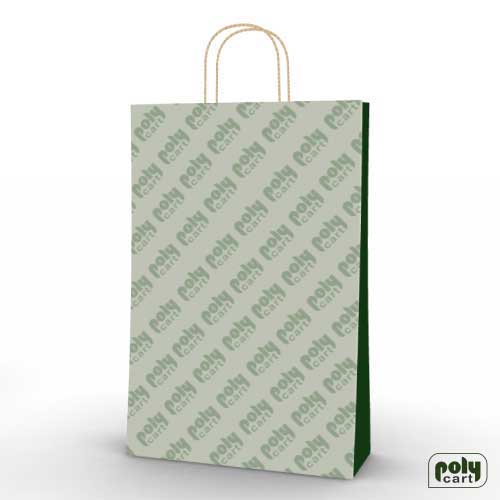 Paper-bag-with-handles-type-1
			.jpg